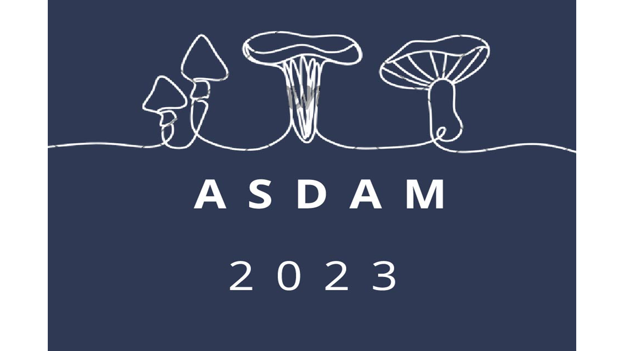 Sponsor logo 12
